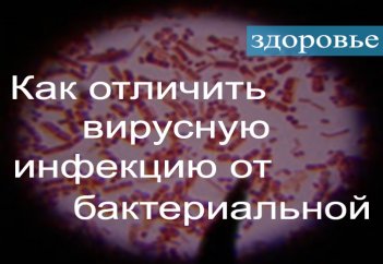 Вирусная и бактериальная инфекция: в чем разница