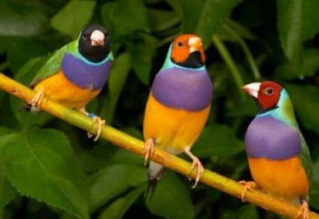 Исаак Ньютон