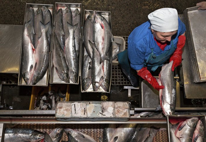В США узнали, как рыбные продукты меняют сон человека