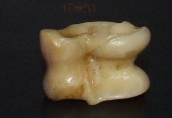 Мафия немесе жалғыз асық хикаясы...