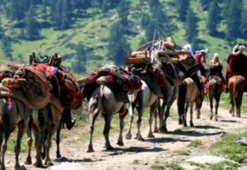 Тарыдай шашылған: Әлемде қанша қазақ бар?