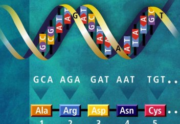 Bloomberg: корпорации не должны получить право на патентование наших генов