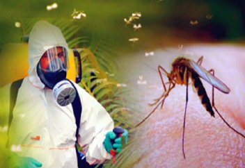 Жаһан: Гондураста 8 сәби микроцефалия дертімен туды (видео)