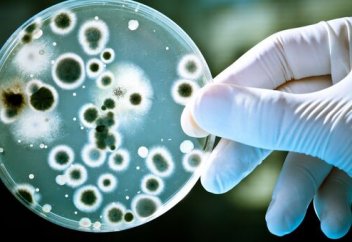 Ғалымдар супербактериялар тудыратын инфекцияларды емдеудің жаңа әдісін ойлап тапты