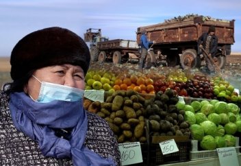 Степонгорск өнімдері: Фермерлер көкөнісі дастарқан басына қалай жетеді