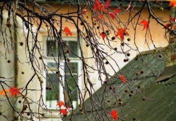 Қарашаның қара қатқағында... (Қалиханша – Қалихан Ысқақов ағамызша)