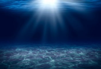 Тұңғиықтан жұмбақ жануар таспаға тартылып қалды (видео)