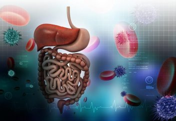 Ішек диагностикасы үшін механикалық қырықаяқ жасалды (видео)