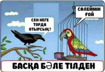 Сөз тапқанға қолқаның қандай қатысы бар?