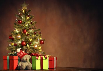 Можно ли дома ставить ёлку? Как относится к этому шариат?