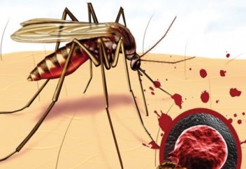 Тағы бір ел безгектен ада мемлекет ретінде ресми танылды