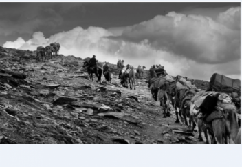 Қазақтардың Моңғолияға қоныс аудару кезеңдері