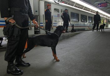 Қызтекелерге қарсы арнайы жасақ құрылады