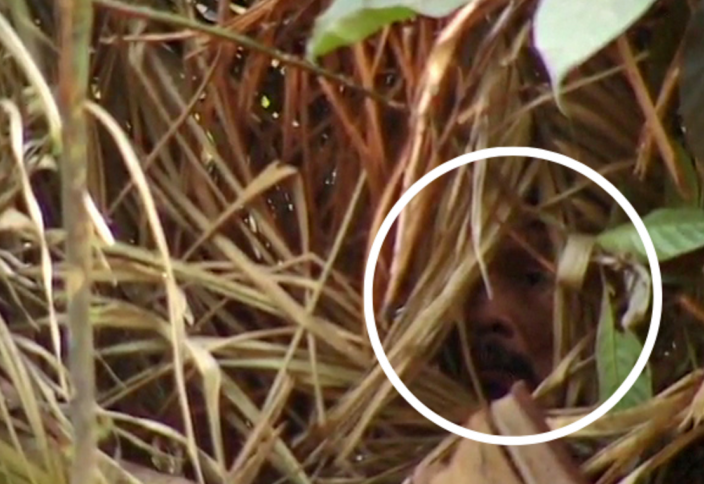 Әлемнен оқшауланған тайпаның соңғы өкілі көз жұмды. Ол соңғы 26 жылын жалғыздықта өткізген (видео)