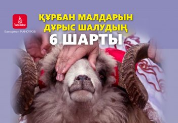 Құрбандықты дұрыс шалудың 6 шарты
