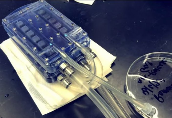 Разные: Искусственная почка, имитирующая гемодиализ, прошла лабораторные испытания (видео)