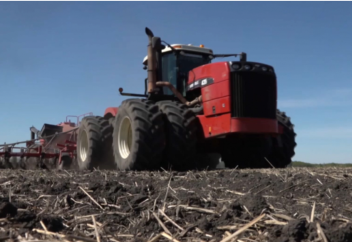 Отандық ғалымдар бидайдың жаңа сұрпын шығарды