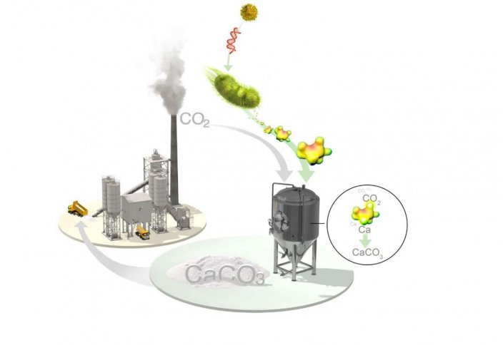 Көмірқышқыл газынан цемент өндіретін бактерия пайда болды