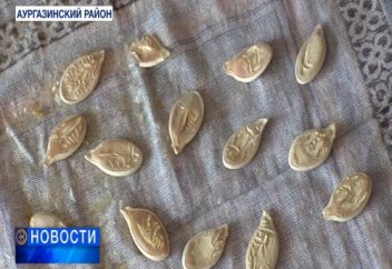 На тыквенных семечках разглядели аяты из Корана (фото)