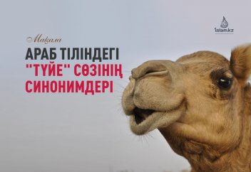 Араб тіліндегі "түйе" сөзінің синонимдері