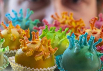 17 ноября день рождения коронавируса. Ученые: в медицине Пророка ﷺ спасение от коронавируса