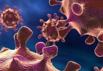 Люди и бактерии строят колонии по одним законам: неожиданное открытие