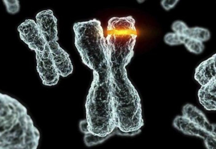 Хромосомалық мутациялар