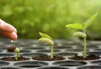 Климат өзгерісі  Орта Азия мен Қазақстандағы өсімдіктердің вегетациялық кезеңін тездетуде