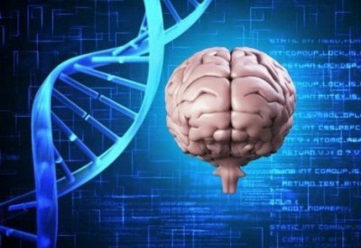 Альцгеймер ауруынан қорғайтын ген табылды