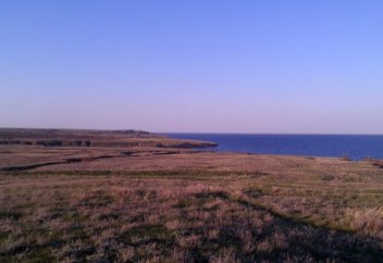 Волгоградские ученые обнаружили аяты Корана на стенах средневекового здания