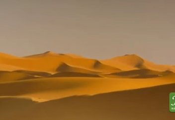 Правдивейшая Айша, 4 я часть (Ифк-клевета, продолжение). - Жены Пророка ﷺ