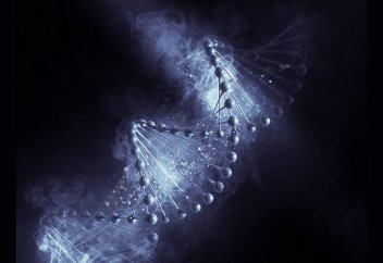 Генетиктер тірі жасуша ДНҚ-сын қайта жазуға болатын CD-дискке айналдырды