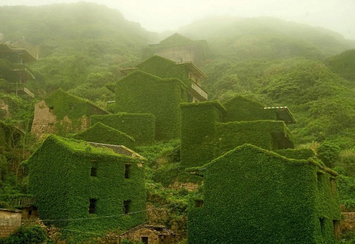 Опустевший рыбацкий город в Китае превратился в зелёные джунгли (фото)