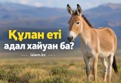 Құлан - еті адал хайуан ба?