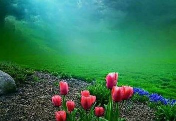 Рамазан айы біткен соң 5 күн демалыс беріледі