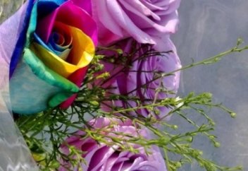 Армандар көкке шашылды, Үнсіздікке үн қостым...