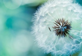 Это спасёт тебя от Адского Огня! | Ислам Sound