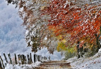 Қараша, желтоқсан мен сол бір-екі ай