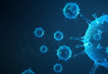 Коронавируспен ауырғың келсе....