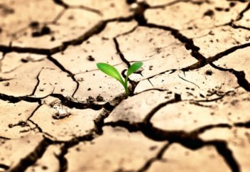 Жерасты суына жаһандық жылынудың тигізер кері әсері