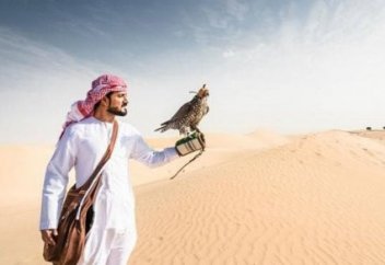 Арабские шейхи охотятся на казахстанских дроф. Зачем РК это соглашение? Более $60 млн выделили арабские страны на воспроизводство и сохранение краснокнижных птиц в Казахстане