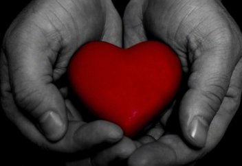 Мейірімді жүргізуші жаяу жүргіншілердің шалшықтан өтуіне көмектесті (видео)