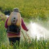 Предупреждение о пестицидах: крупное исследование выявило связь со смертельно опасным БАС — воздействие увеличивает риск до 70%