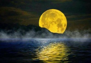 Топ-10 главных событий в науке в 2019 году