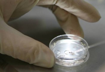 Өздігінен көбейе алатын жасанды (синтетикалық) жасуша жасалды