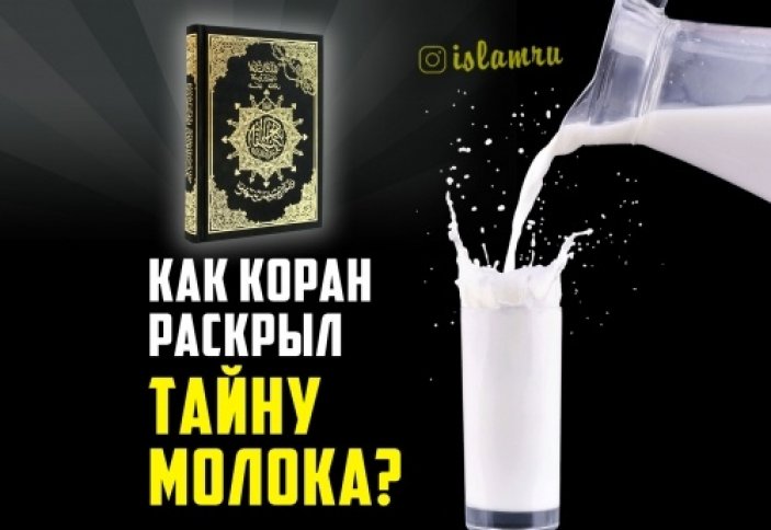 Как Коран раскрыл тайну молока?