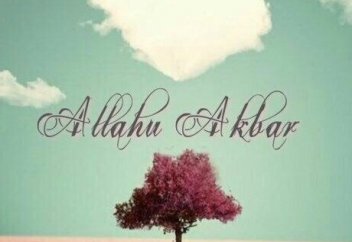 Жыртық аяқ киім