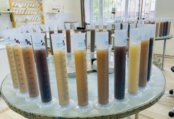 Урожайность зерновых в РК может снизиться на 15% к 2040 году