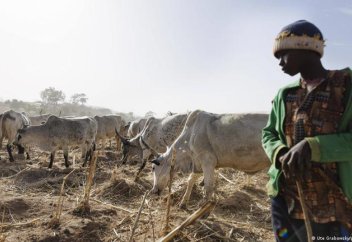 Части Нигерии сталкиваются с беспрецедентным уровнем голода на фоне нападений боевиков, сообщает ООН