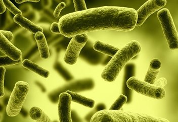 Бактерияның антибиотикке төзімділігі артуының тағы бір сыры ашылды